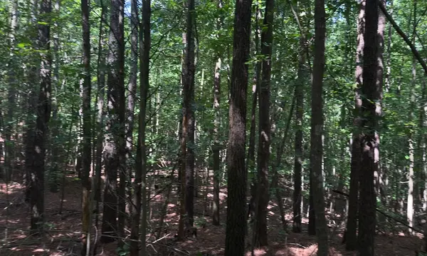 0 Hickory Nut Trl, Spencer, TN 38585