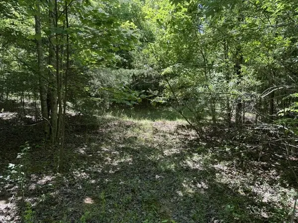 0 Wildwood Rd, Mcminnville, TN 37110
