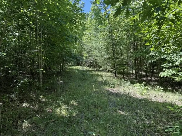 0 Wildwood Rd, Mcminnville, TN 37110