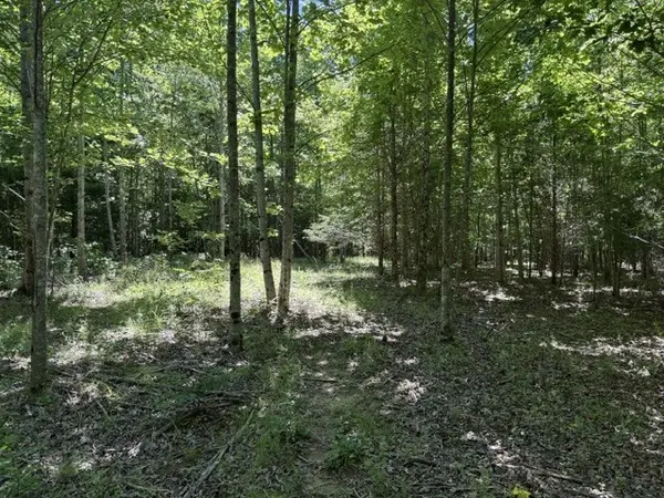 0 Wildwood Rd, Mcminnville, TN 37110