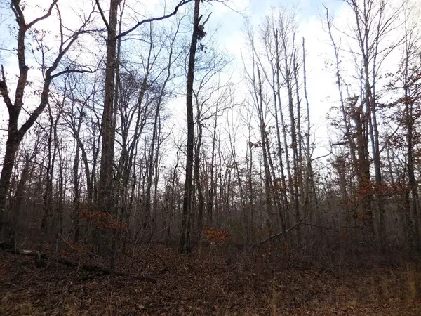 3008 Diego Drive, Crossville, TN 38572