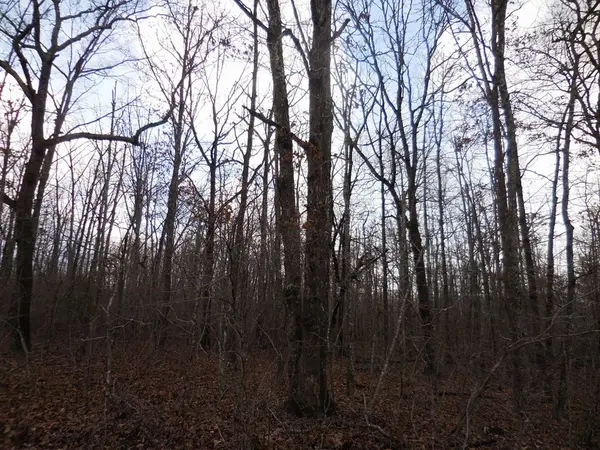 3008 Diego Drive, Crossville, TN 38572