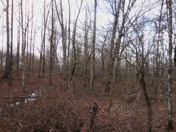 1143 Natchez Trace, Crossville, TN 38572