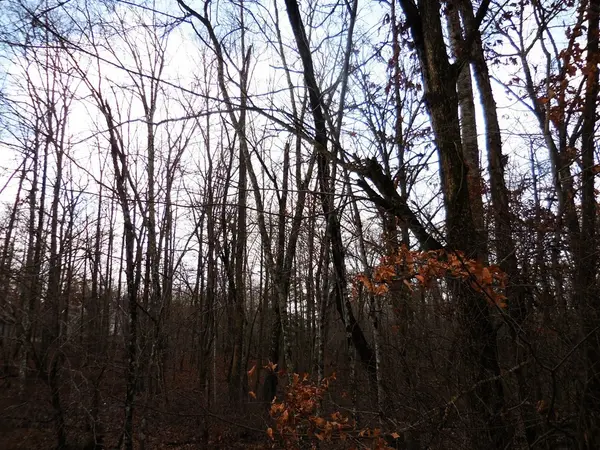 1143 Natchez Trace, Crossville, TN 38572