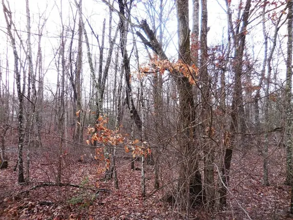 1143 Natchez Trace, Crossville, TN 38572