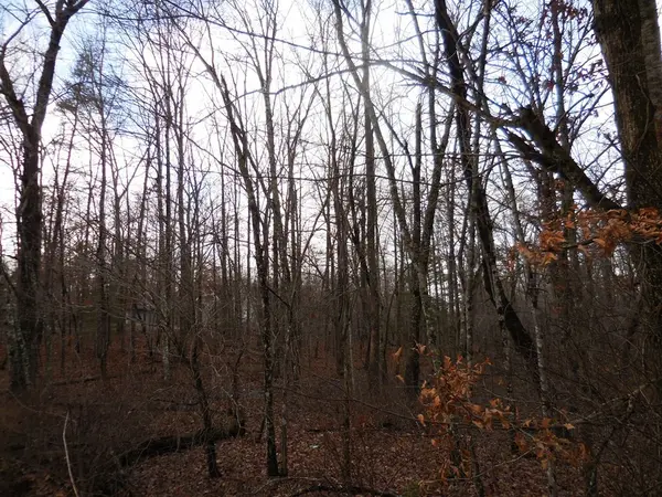 1143 Natchez Trace, Crossville, TN 38572