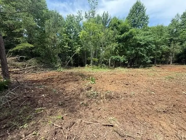 10775 S Pittsburg Mountain Road, South Pittsburg, TN 37380