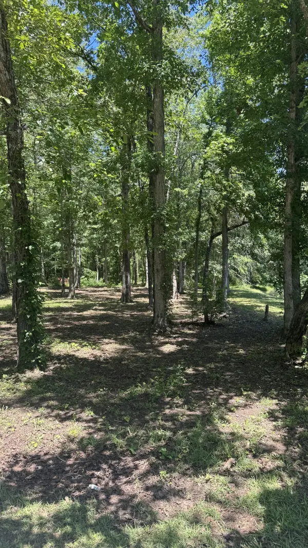 0 Lakewood Drive, Beechgrove, TN 37018