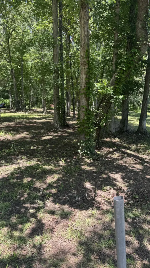 0 Lakewood Drive, Beechgrove, TN 37018