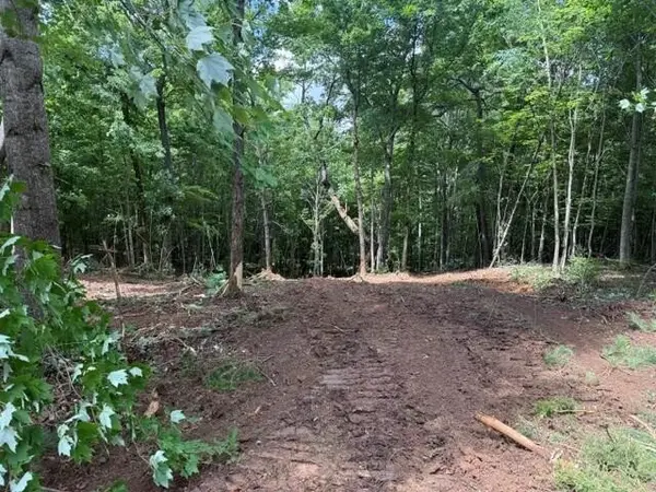 10811 S Pittsburg Mountain Road, South Pittsburg, TN 37380