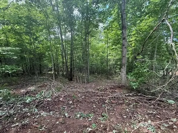 10811 S Pittsburg Mountain Road, South Pittsburg, TN 37380