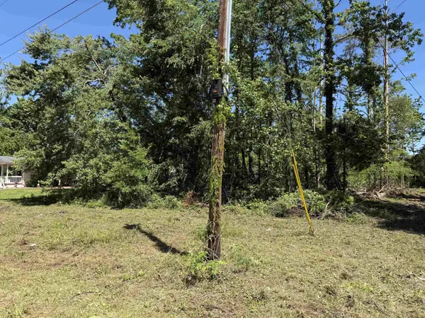 0 CLEMENT DR, Savannah, TN 38372