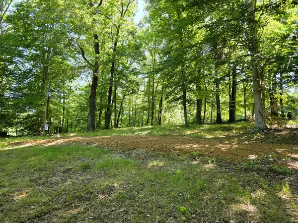 12225 Off Highway 79 N, Buchanan, TN 38222