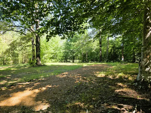 12225 Off Highway 79 N, Buchanan, TN 38222