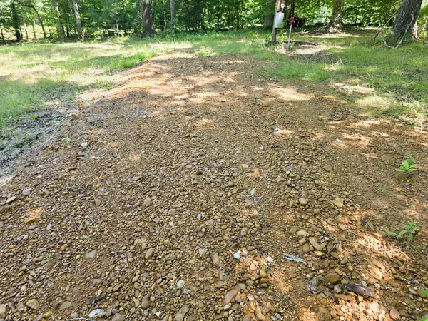 12225 Off Highway 79 N, Buchanan, TN 38222