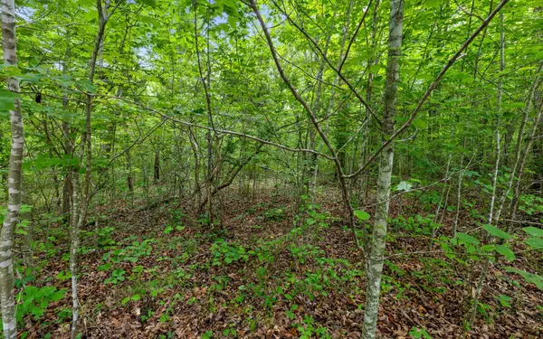 41 Quill Haven Drive, Signal Mountain, TN 37377