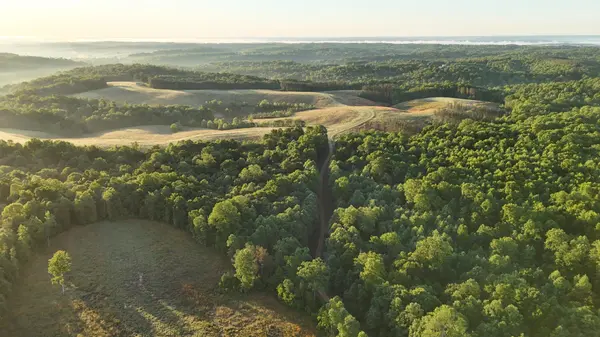 7 Mile Ridge Road, Indian Mound, TN 37079