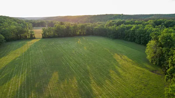1267 Wades Branch Rd, Centerville, TN 37033