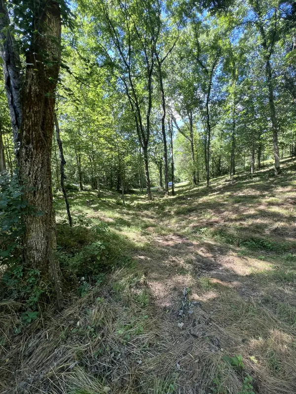 0 Horseshoe Bend Ln, Elmwood, TN 38560