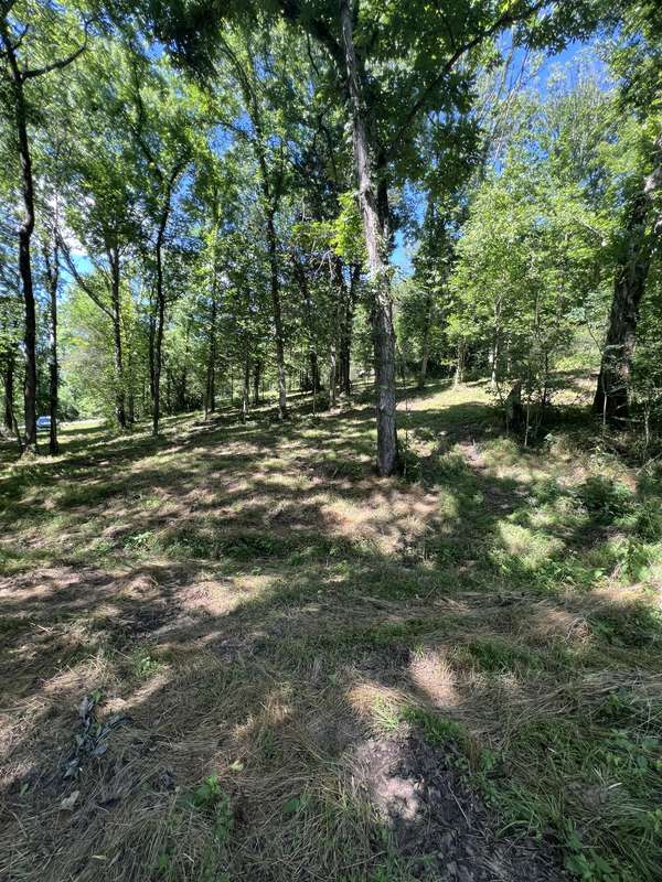0 Horseshoe Bend Ln, Elmwood, TN 38560