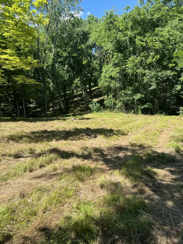 0 Horseshoe Bend Ln, Elmwood, TN 38560