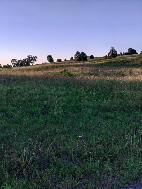 0 Collins Run, Mc Minnville, TN 37110