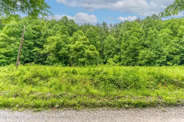 0 Johns Creek Rd, Del Rio, TN 37727