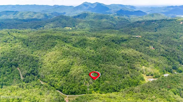 0 Johns Creek Rd, Del Rio, TN 37727