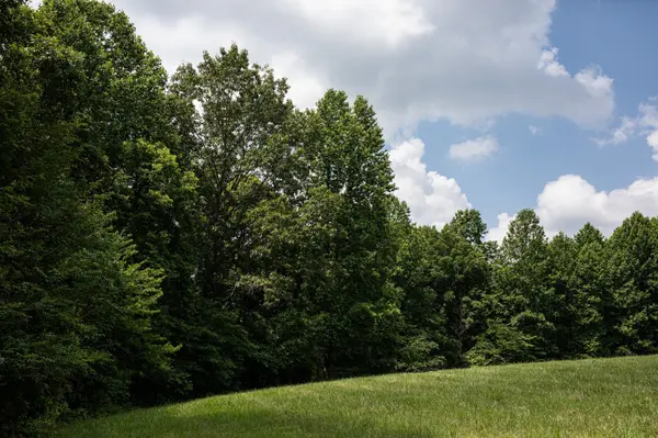 5450 Old Highway 96, Franklin, TN 37064