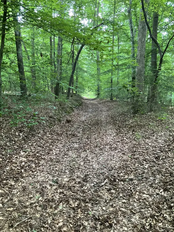 0 Fergus Ln, Tullahoma, TN 37388