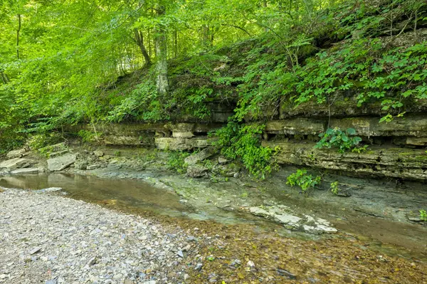 5185 Old Harding Rd, Franklin, TN 37064
