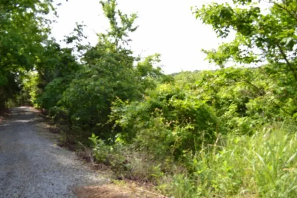 0 Circle Road, Burkesville, KY 42717