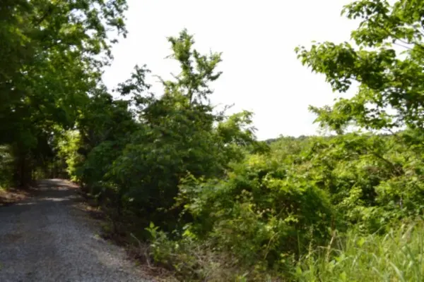 0 Circle Road, Burkesville, KY 42717