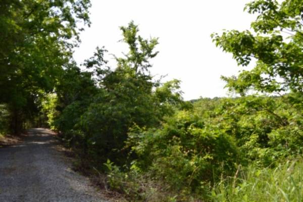 0 Circle Road, Burkesville, KY 42717