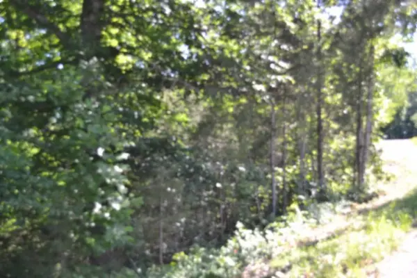 0 Beauchamp Rd, Burkesville, KY 42717