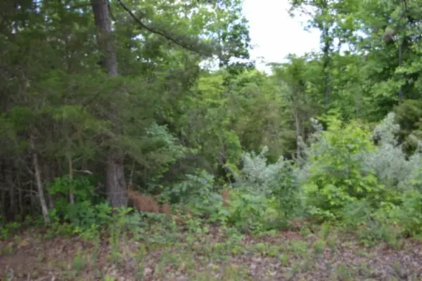 0 Beauchamp Rd, Burkesville, KY 42717