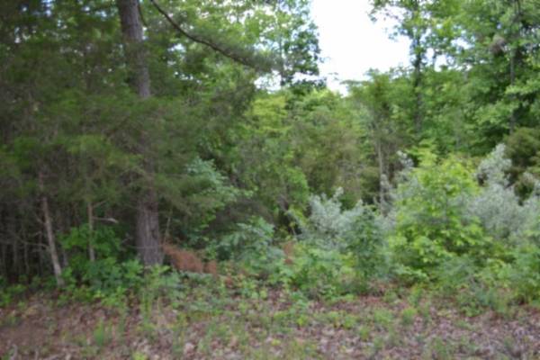 0 Beauchamp Rd, Burkesville, KY 42717