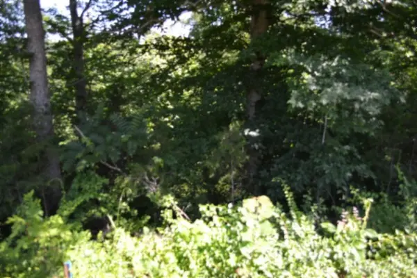 0 Beauchamp Rd, Burkesville, KY 42717
