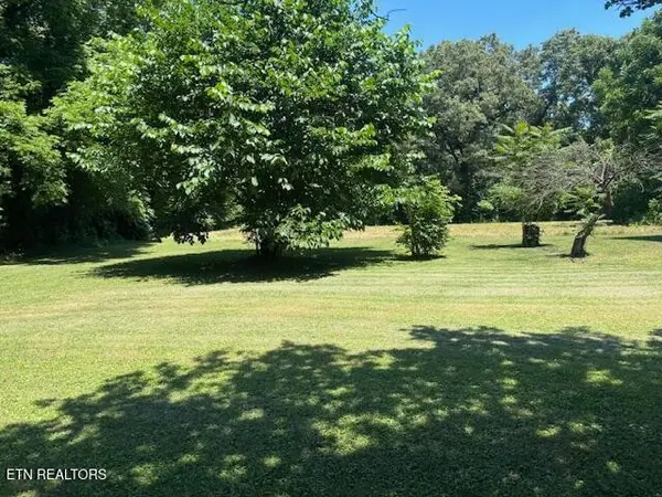 194 Patton Lane, Pikeville, TN 37367
