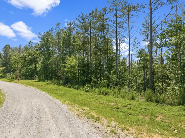 310 Highland Dr, Linden, TN 37096