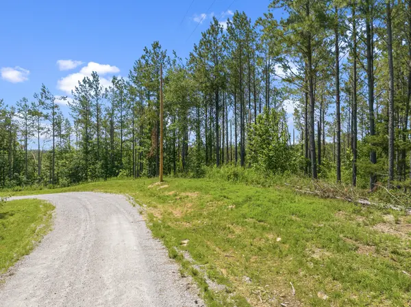 310 Highland Dr, Linden, TN 37096