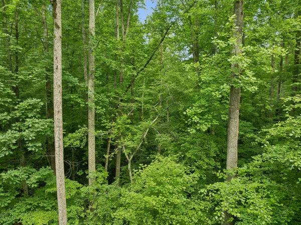 0 Davis Hollow Rd, Franklin, TN 37064