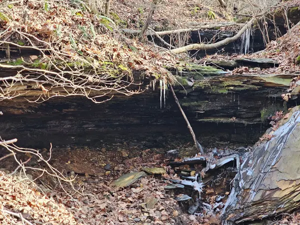 0 Davis Hollow Rd, Franklin, TN 37064