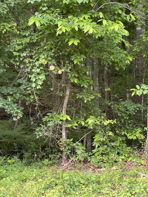 3031 Shawnee Rd, Crossville, TN 38572