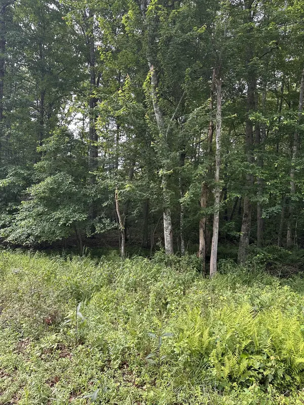 3031 Shawnee Rd, Crossville, TN 38572