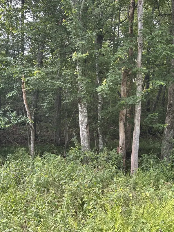 3031 Shawnee Rd, Crossville, TN 38572