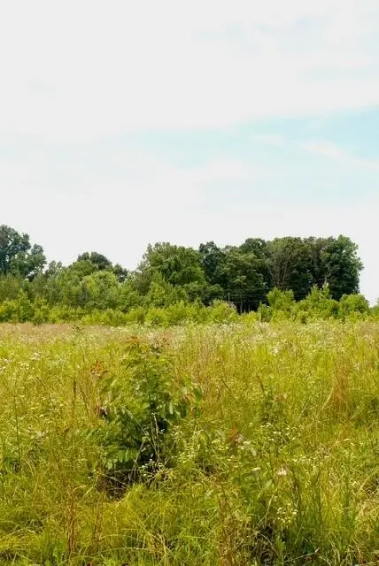 482 Friendship Lane, Delano, TN 37325
