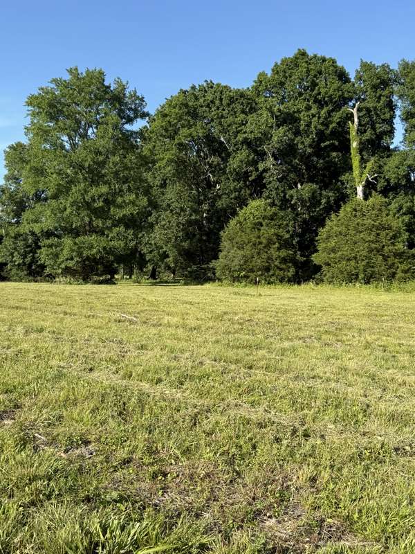 1988 Fayetteville Hwy, Belfast, TN 37019