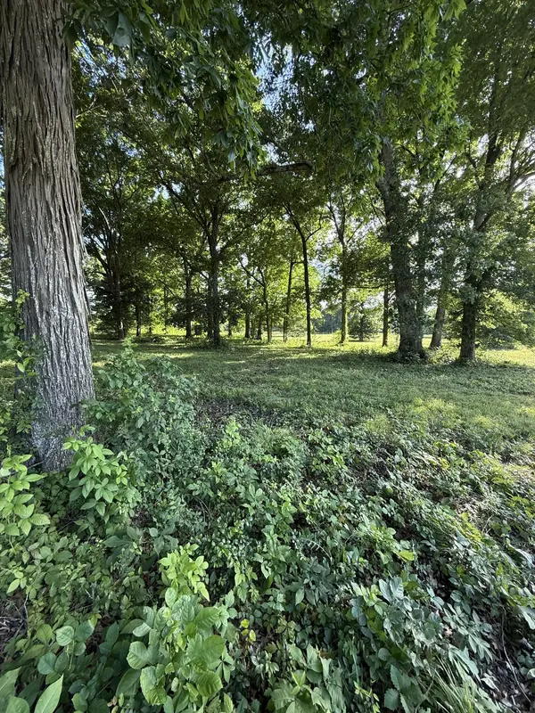 1988 Fayetteville Hwy, Belfast, TN 37019