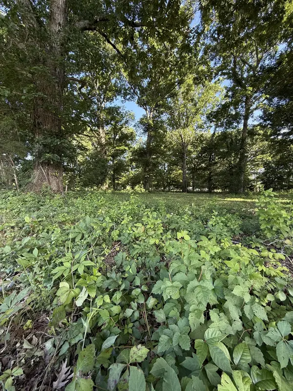 1988 Fayetteville Hwy, Belfast, TN 37019
